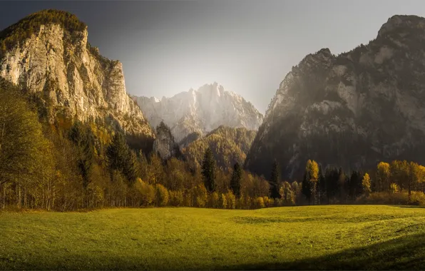 Field, autumn, forest, grass, light, mountains, rocks, glade