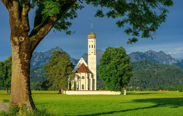 Picture trees, mountains, Germany, Bayern, Alps, Church, Germany, Bavaria