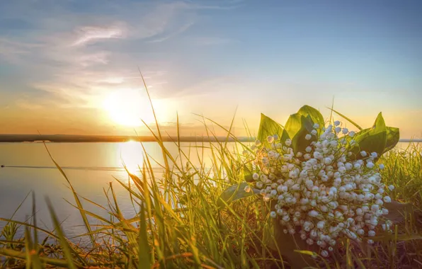The sky, grass, the sun, clouds, light, flowers, river, dawn