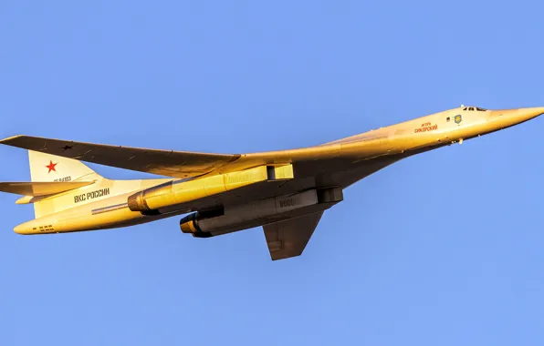 The Tu-160, Blackjack, strategic bomber-missile carrier, supersonic, with variable sweep wing, Tupolev, Videoconferencing Russia