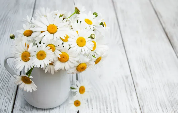 Picture chamomile, bouquet, vase, Olena Rudo