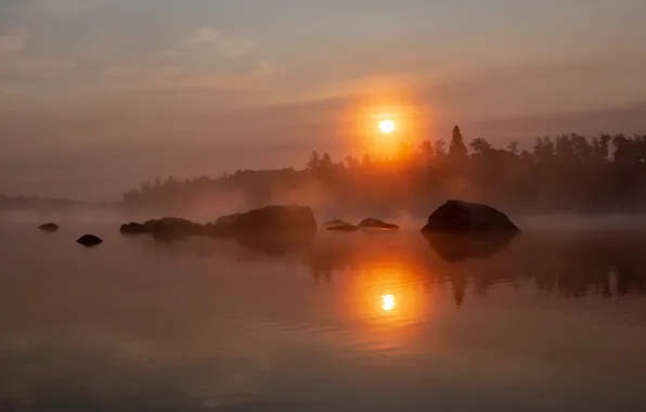 The sun, sunset, fog, reflection, shore, pond