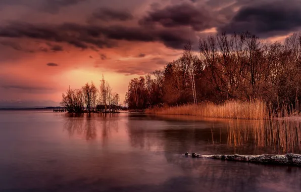 Landscape, night, lake
