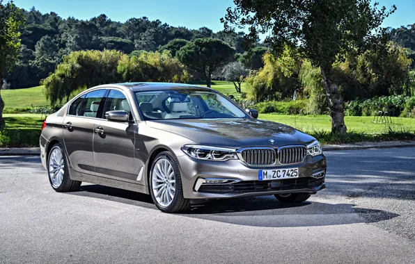 Picture luxury, chic, BMW, the sun, auto, shadow, Sedan, 520d
