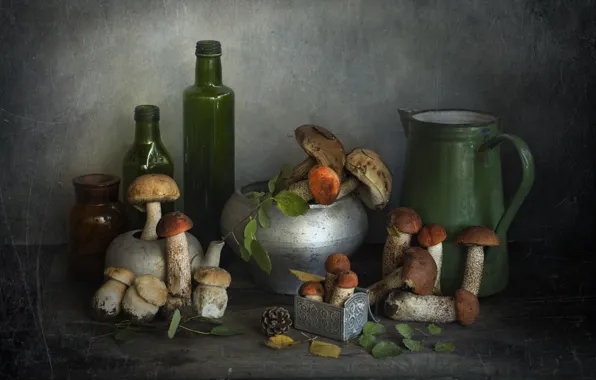 Glass, leaves, table, mushrooms, branch, Bank, dishes, pot
