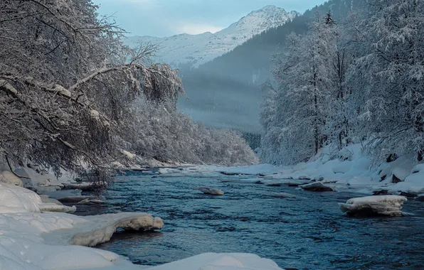 Picture winter, forest, the sky, clouds, snow, trees, landscape, mountains