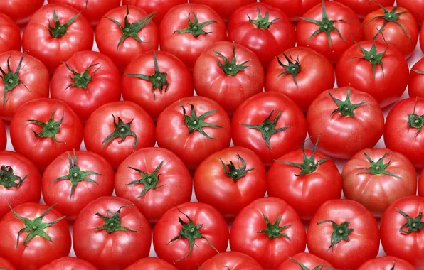 Picture background, texture, vegetables, tomatoes, tomatoes, red fruit