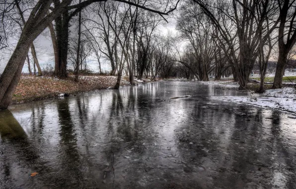 Winter, nature, puddle