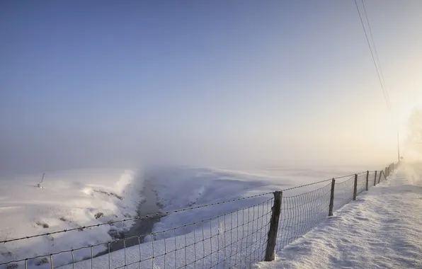 Winter, field, snow, fog, the fence