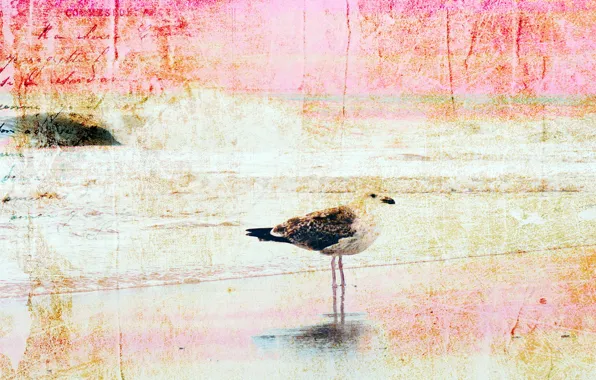Style, background, bird, texture