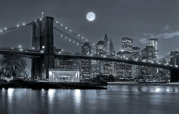 The sky, night, bridge, lights, river, the moon, home, New York