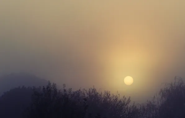 Picture sunset, foggy, silhouettes