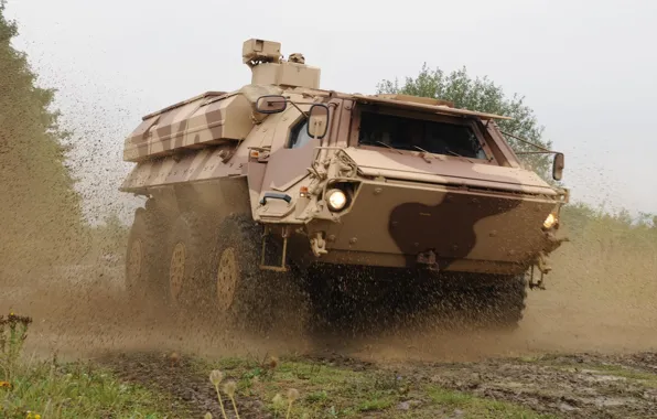 Fox, armored, Rheinmetall, Bundeswehr, Transport tanks, amphibious, TPz, Fox