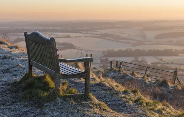 Fog, morning, bench