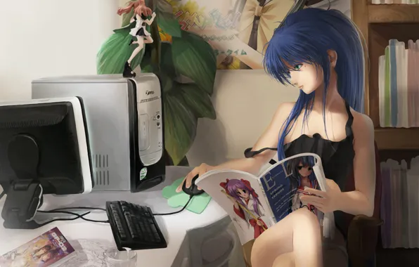 Computer, girl, the game, the situation, the evening, anime, journal