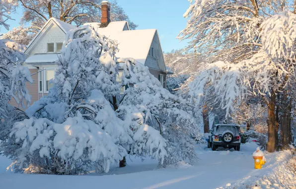Winter, snow, trees, landscape, nature, house, car, Antonina Janowska