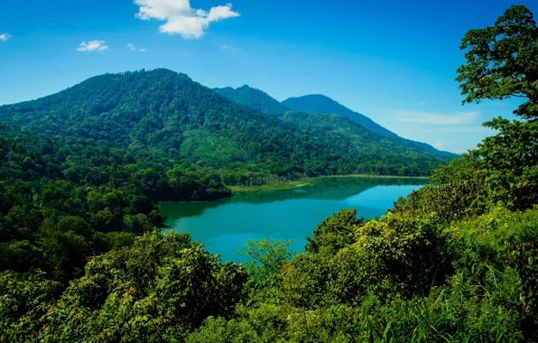 Picture forest, mountains, lake, Bali, Indonesia, Bali, Indonesia