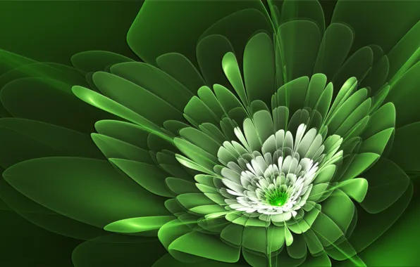 Picture flower, line, petals, green