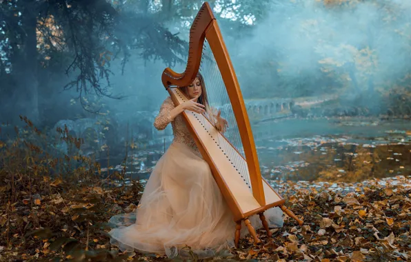 Picture autumn, girl, nature, fog, dress, harp, Acts Novels