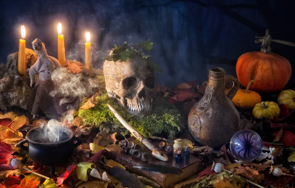 Leaves, bubbles, magic, Mac, skull, moss, candles, doll
