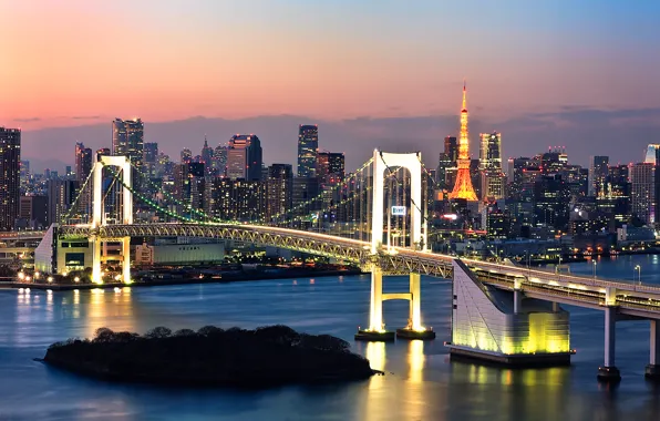 Sea, the sky, water, night, bridge, the city, lights, shore