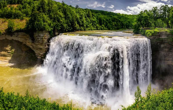 Picture trees, river, rocks, waterfall, USA, the state of new York, Park Letchworth