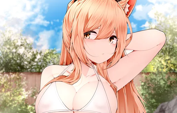 Girl, sexy, cleavage, long hair, boobs, animal ears, anime, beautiful