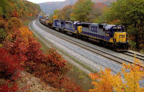 Picture road, autumn, leaves, train