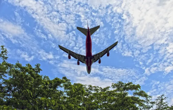 The sky, Aircraft, Crimea, Simferopol