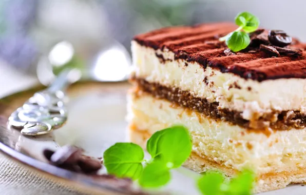 Picture food, chocolate, sweets, cake, cake, mint, dessert, sweet