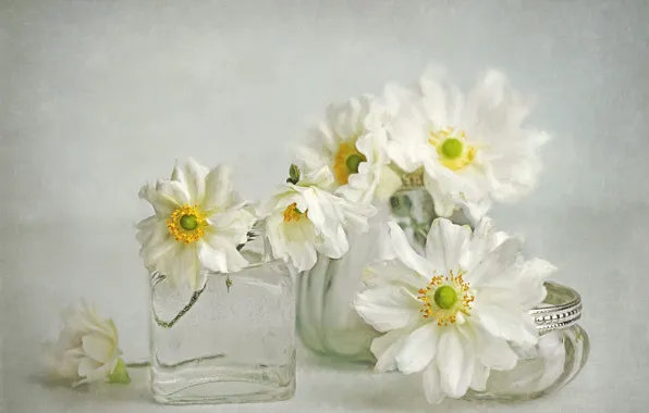 Glass, flowers, background, art, jars, Bank, white, painting