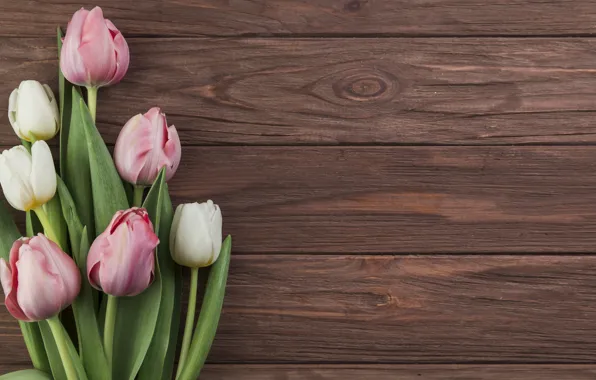 Flowers, tulips, pink, pink, flowers, beautiful, tulips, spring