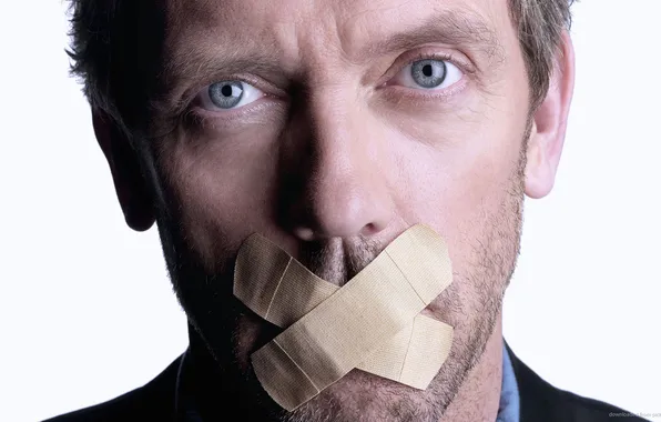 The series, HUGH LAURI, Dr.HOUSE