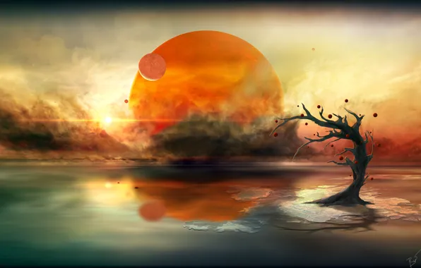 The sun, clouds, tree, planet, alien calm