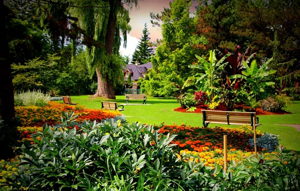 Picture trees, flowers, house, lawn, the fence, garden, Canada, benches