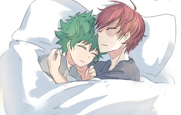 My Hero Academia, Boku No Hero Academy, Midori Isuku, Todoroki Shoto, My Hero Academy