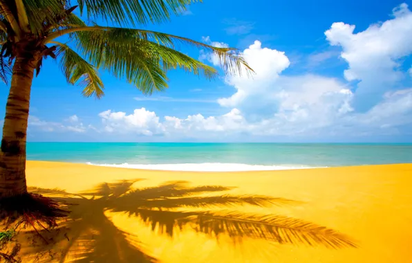 Sand, sea, beach, clouds, tropics, Palma
