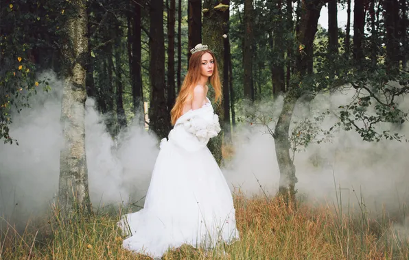 Picture forest, girl, trees, hair, smoke, crown, white dress, direct look