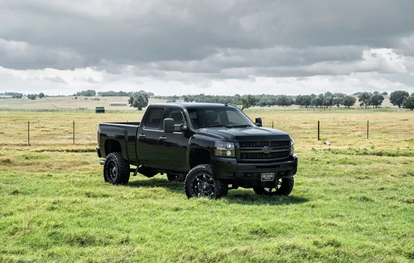 Black, Chevrolet, Chevrolet, pickup, Black, Avalanche, avalansh