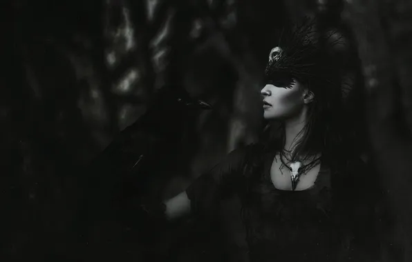 Girl, night, darkness, style, bird, Raven, crow, cosplay