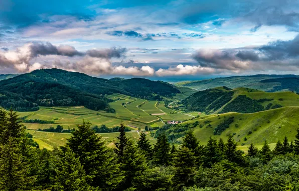 Field, forest, the sky, clouds, trees, Germany, panorama, plantation