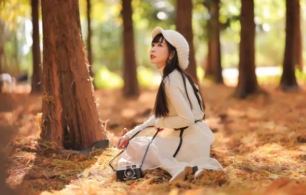 The sun, trees, pose, Park, model, portrait, makeup, dress