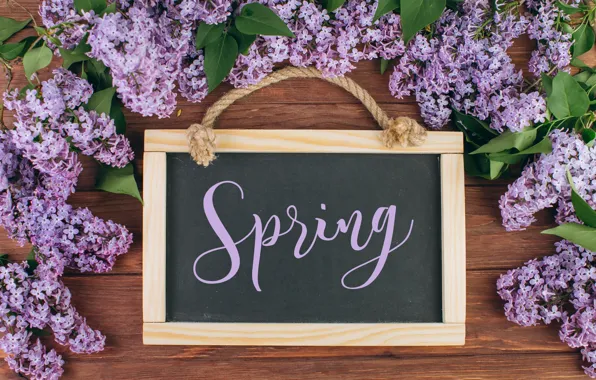 Picture flowers, branches, spring, frame, Board, flowering, wood, blossom