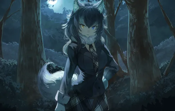 Forest, girl, trees, night, ears, anime, art, ponytail