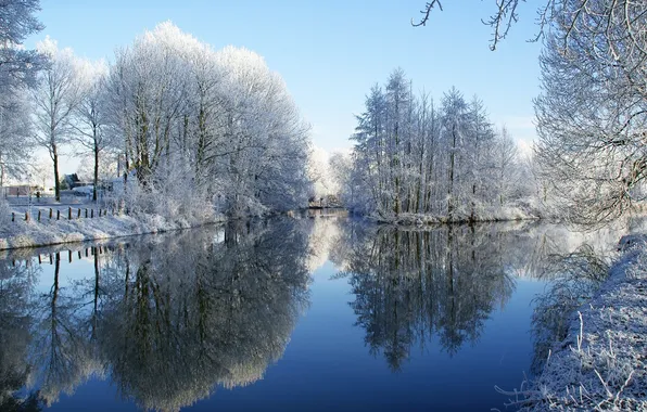 Picture winter, forest, the sky, snow, river, photo