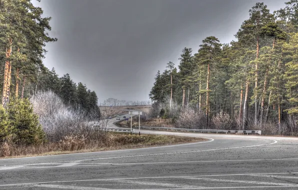 Picture road, machine, forest, trees, index, serpentine, the bushes