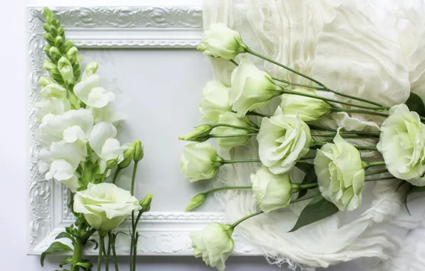 White, frame, eustoma, gillyflower