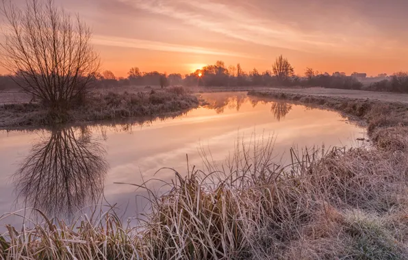 Frost, grass, the sun, trees, reflection, river, dawn