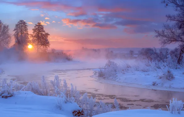 Winter, the sky, snow, trees, dawn, morning, frost