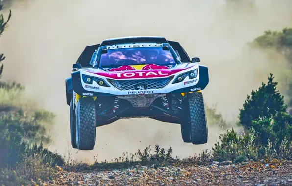 Sport, Speed, Race, Dirt, Peugeot, Lights, Red Bull, Rally